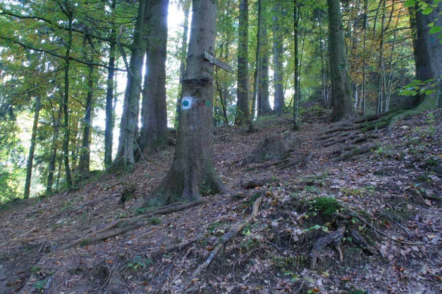 Hausbachklamm - auf den Entschenstein zum Denkmal / der Weg mit dem "grünen Punkt"